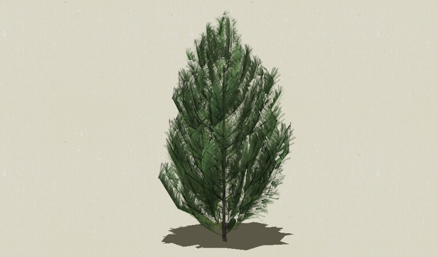 ��Ҷ��ľ-Sketchup��ͼ��ʦEnscape����ģ��2022051117.jpg