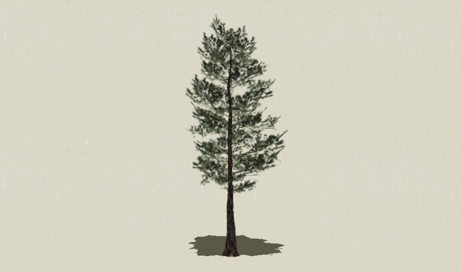��Ҷ��ľ-Sketchup��ͼ��ʦEnscape����ģ��2022051119.jpg