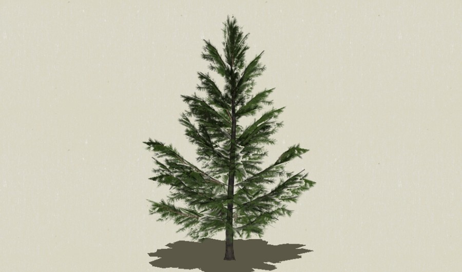 ��Ҷ��ľ-Sketchup��ͼ��ʦEnscape����ģ��2022051114.jpg