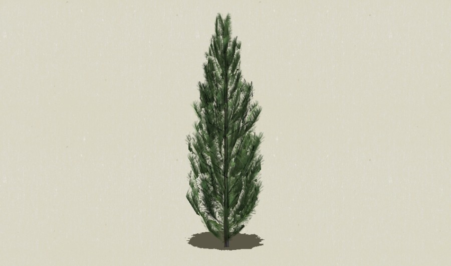 ��Ҷ��ľ-Sketchup��ͼ��ʦEnscape����ģ��2022051118.jpg