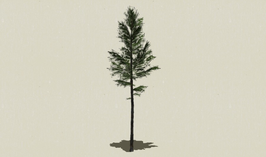 ��Ҷ��ľ-Sketchup��ͼ��ʦEnscape����ģ��2022051133.jpg
