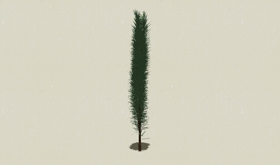 ��Ҷ��ľ-Sketchup��ͼ��ʦEnscape����ģ��2022051139.jpg