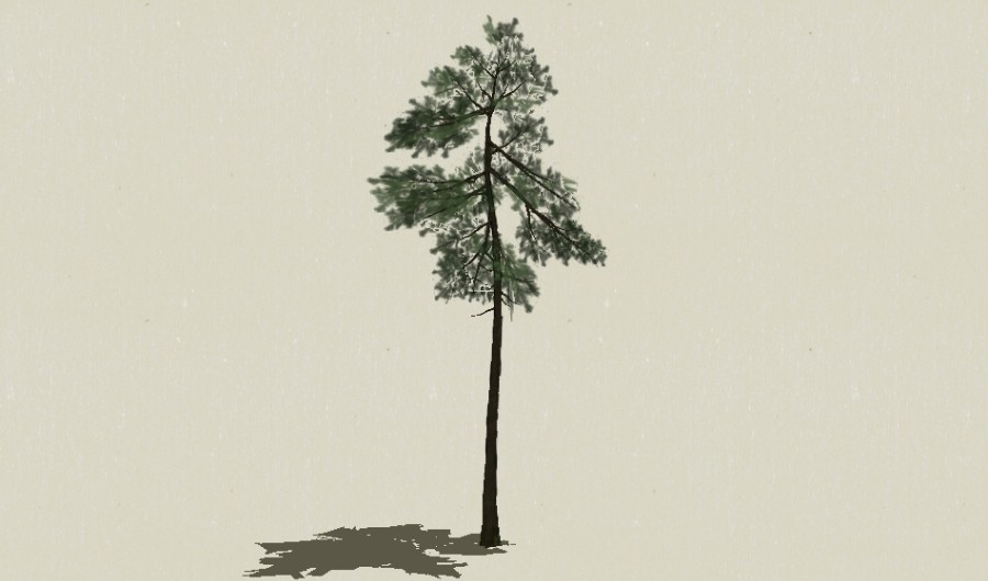 ��Ҷ��ľ-Sketchup��ͼ��ʦEnscape����ģ��2022051138.jpg