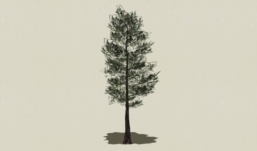 ��Ҷ��ľ-Sketchup��ͼ��ʦEnscape����ģ��2022051135.jpg