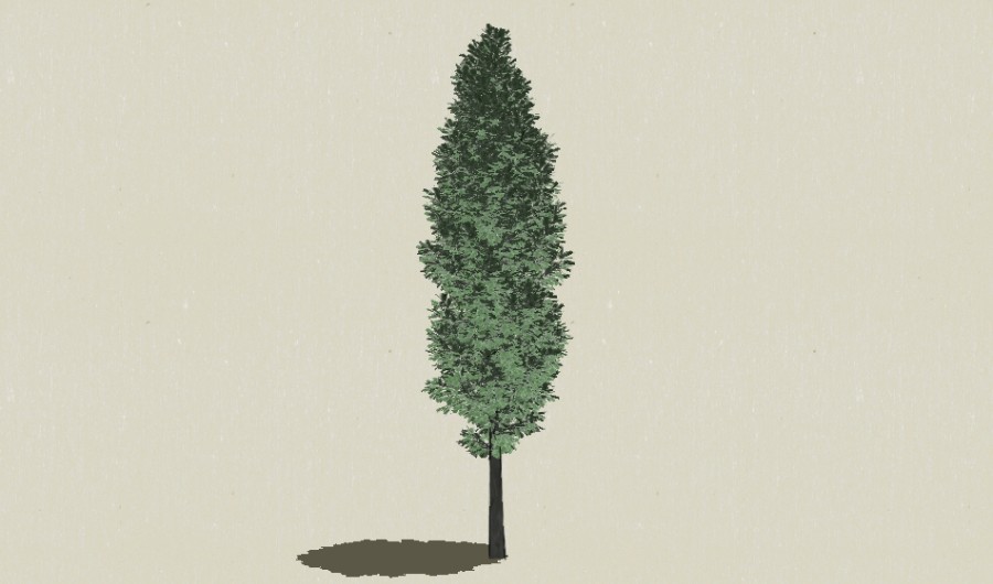 ��Ҷ��ľ-Sketchup��ͼ��ʦEnscape����ģ��2022051141.jpg