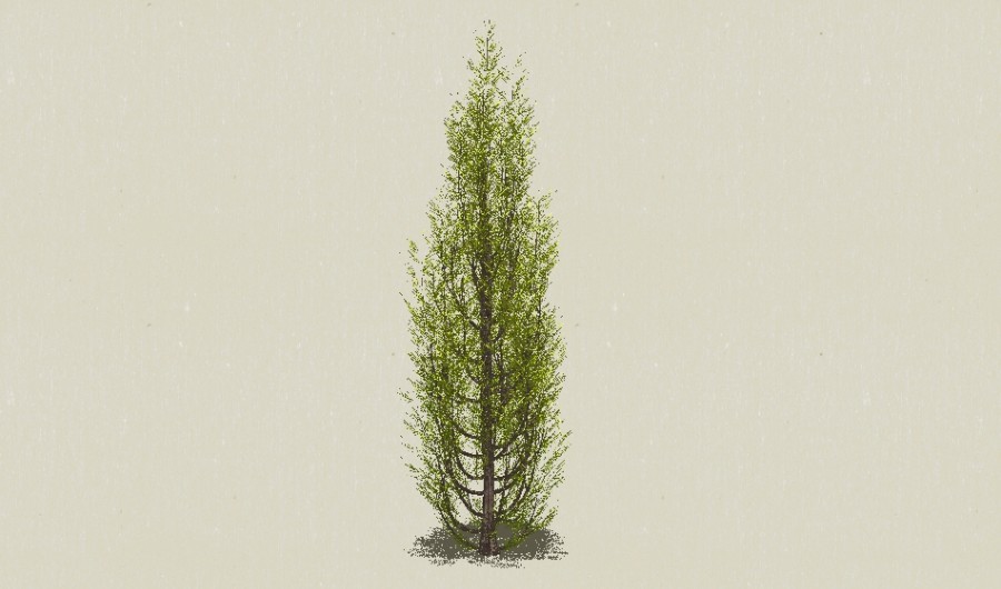 ��Ҷ��ľ-Sketchup��ͼ��ʦEnscape����ģ��2022051147.jpg