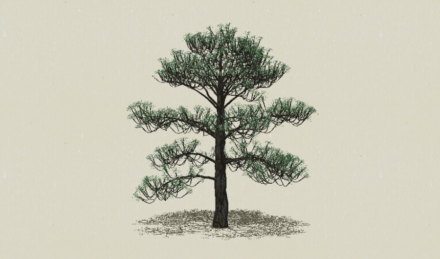 ��Ҷ��ľ-Sketchup��ͼ��ʦEnscape����ģ��2022051151.jpg