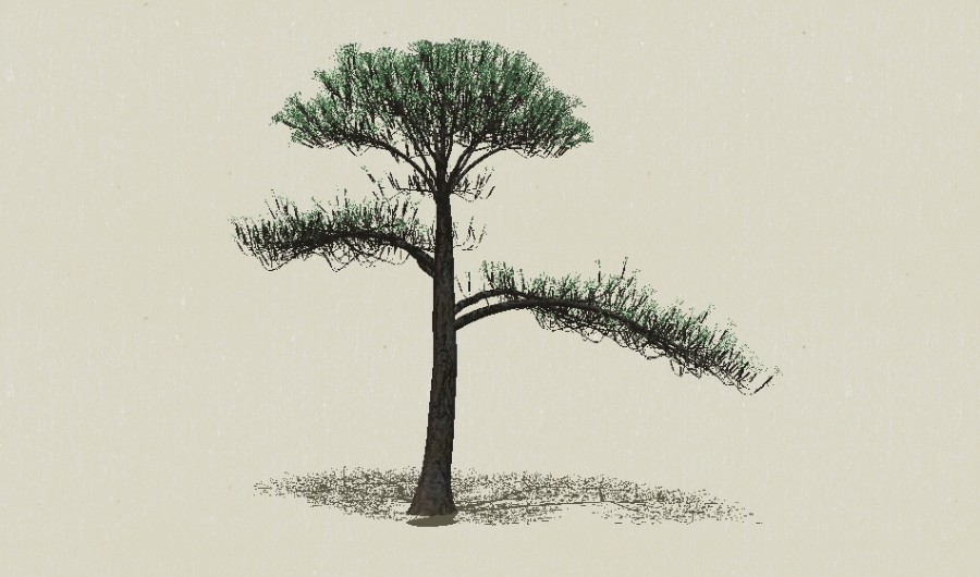 ��Ҷ��ľ-Sketchup��ͼ��ʦEnscape����ģ��2022051150.jpg