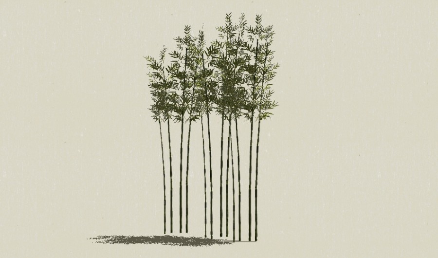 ����-Sketchup��ͼ��ʦEnscape����ģ��202205112.jpg