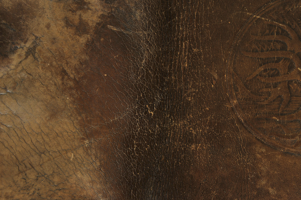 Ƥ��designtnt-textures-leather-2-7.JPG