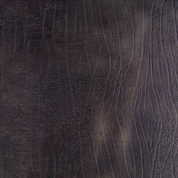 ƤשSABBIA ELEFANTE.jpg