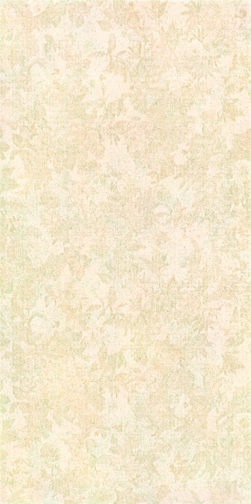 ����ʯ���ɲ�����ǽש��ǽש 300X600ĵ��ͤ96528��300X600MM��.jpg