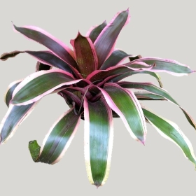 ͼʦģֲģȫ20221960