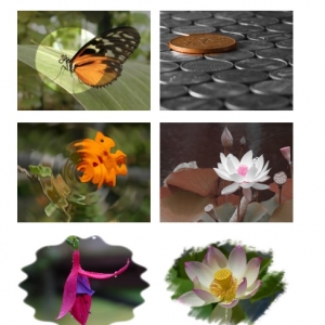 Citra FX Photo Effects 4.1 绿化版 Mac 专业摄影特效后期处理软件