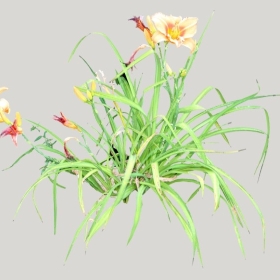 ͼʦģֲģȫ20222019