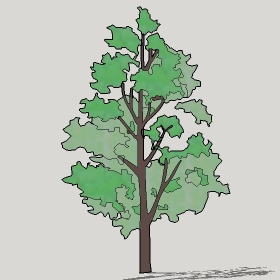 ͼʦģֲģȫ20222612