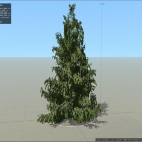 ˹ѩ Cedar Alaskan Forest