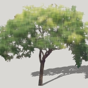 ͼʦģֲģȫ20222417