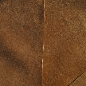 Ƥdesigntnt-textures-leather-2-11