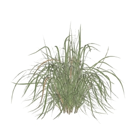ݻϼάģcb-065-Ҷâ_01_fullGeometry
