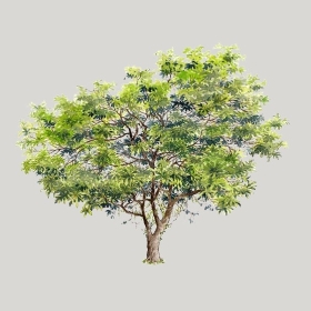 ͼʦģֲģȫ20222517