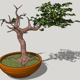 ͼʦSketchupƷģ20221125ϴ022