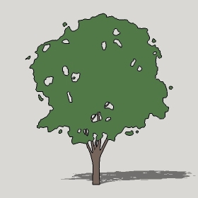 ͼʦģֲTTrees2Dֱģ025