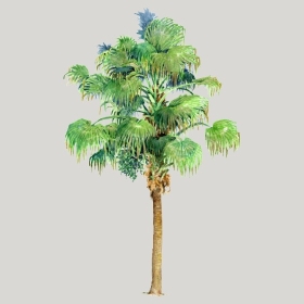 ͼʦģֲģȫ20221851