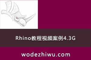 Rhino̳Ƶ4.3G -- www.woai3d.com 