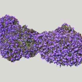 ͼʦģֲģȫ20221857