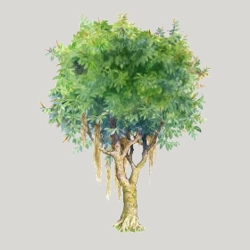 ͼʦģֲģȫ20222661