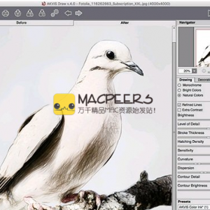 AKVIS Draw 4.0.452.13551 (Stand-Alone and PS Plugin) (Mac OS X)