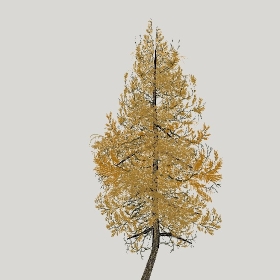 ͼʦģֲģȫ20222435