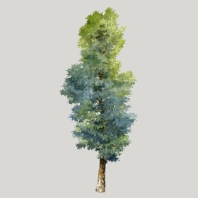 ͼʦģֲģȫ20222534