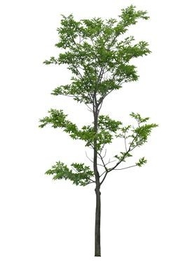 720úJ3_24