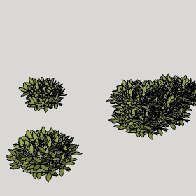 ͼʦģֲģȫ20222283