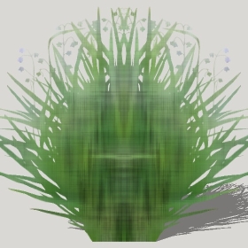 ͼʦģֲģȫ20222421