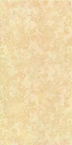 ʯɲǽשǽש 300X600ĵͤ96522300X600MM