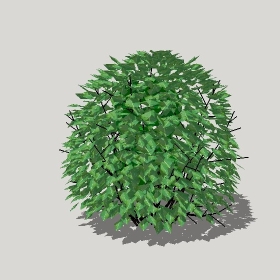 ͼʦģֲģȫ20221195