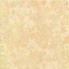 ʯɲǽשǽש 300X600ĵͤMK3522300X300MM