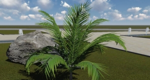 国王椰子（学名：Ravenea rivularis Jum. & H.Perrier）是棕榈科