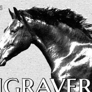 AlphaPlugins Engraver III v1.0 for (Photoshop CS2-CC 2015) MacOSX