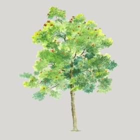 ͼʦģֲģȫ20222340