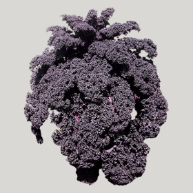 ͼʦģֲģȫ20221764