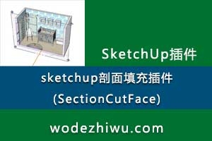 SectionCutFace_v6.2