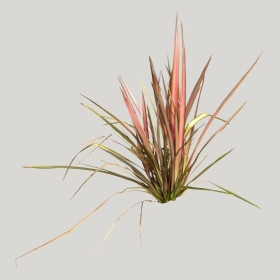 ͼʦģֲģȫ20221988