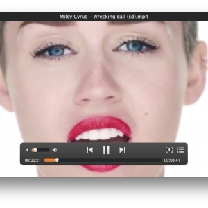 Elmedia Player Pro for mac 6.1.788 flash和media媒体播放器