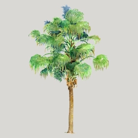 ͼʦģֲģȫ20222596