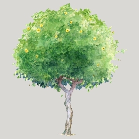 ͼʦģֲģȫ20221600