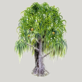 ͼʦģֲģȫ20222577